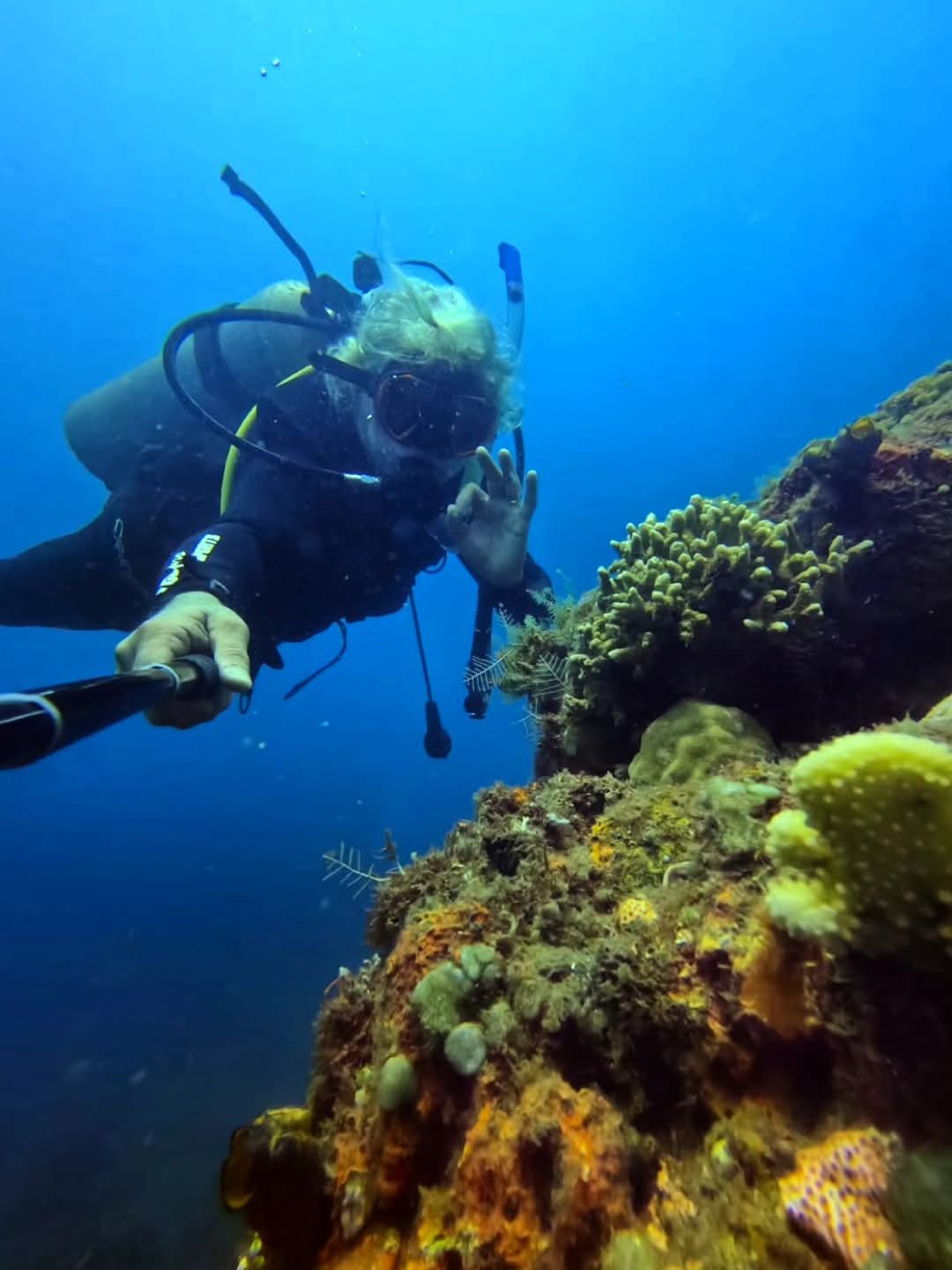 Scuba diver above a coral reef