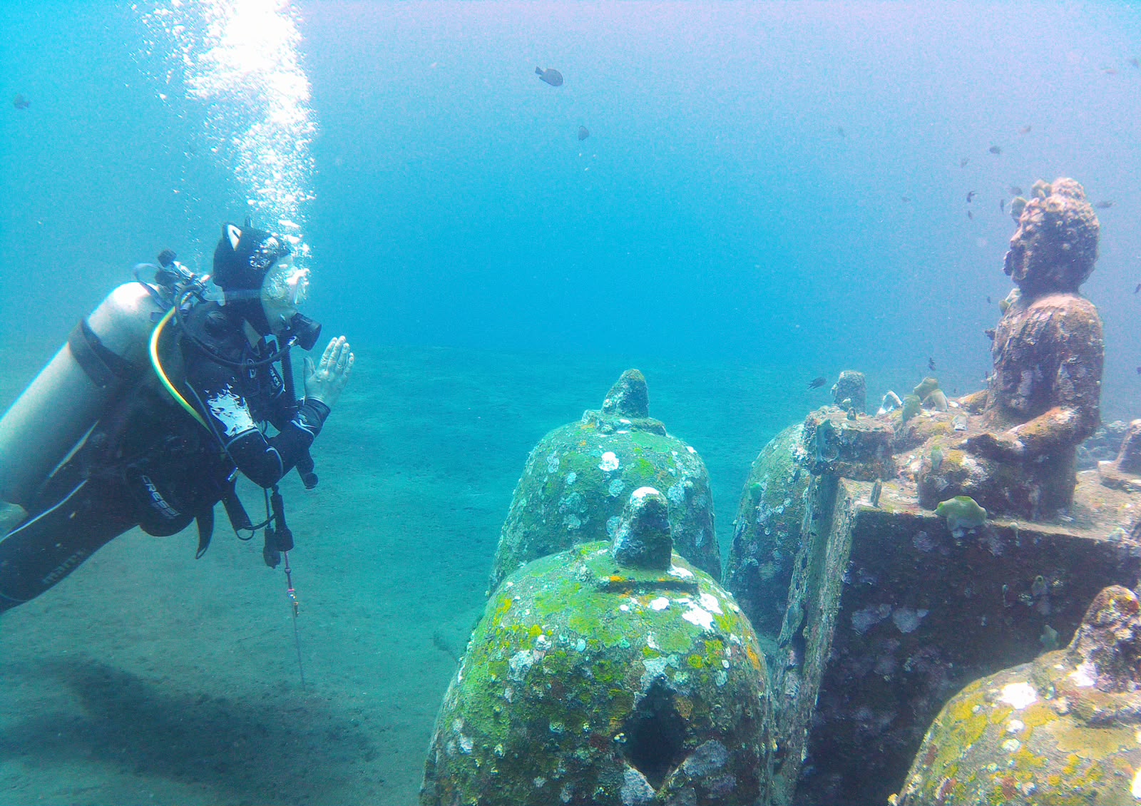 Tropical beach for a relaxed stay and dive trip