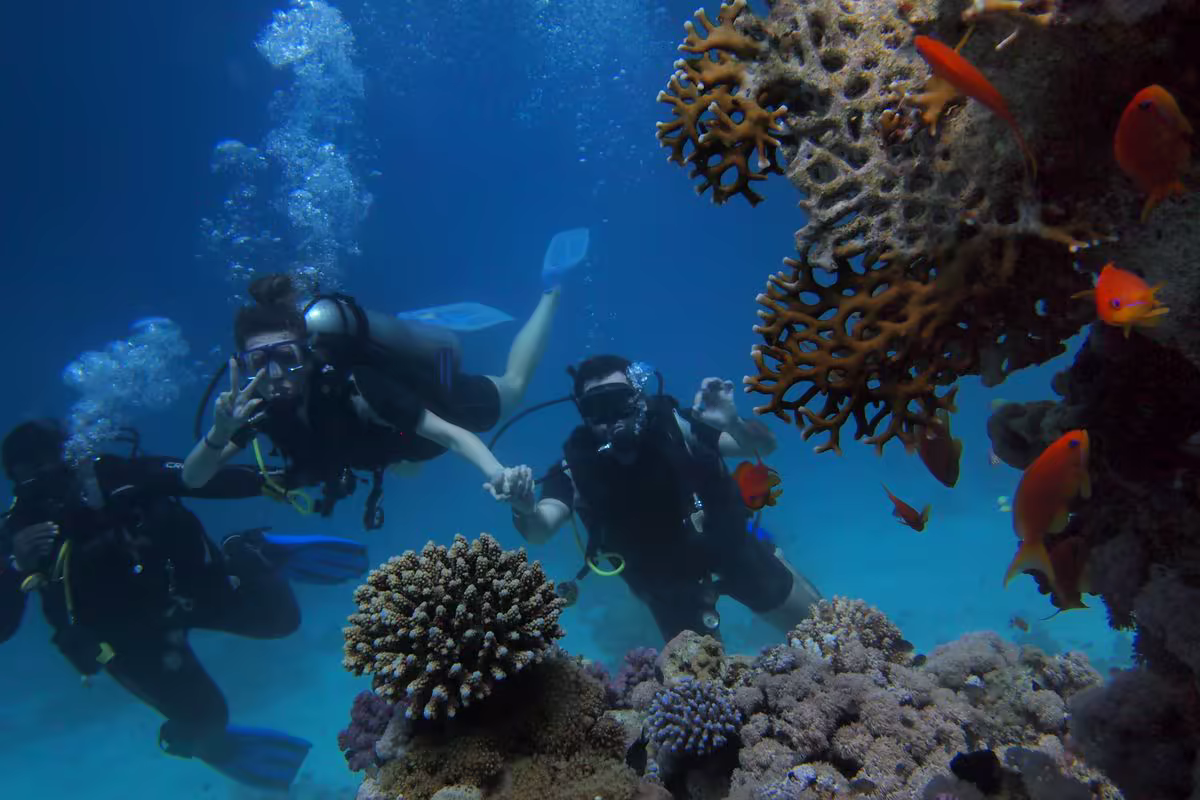 Diver exploring the underwater world of Tulamben