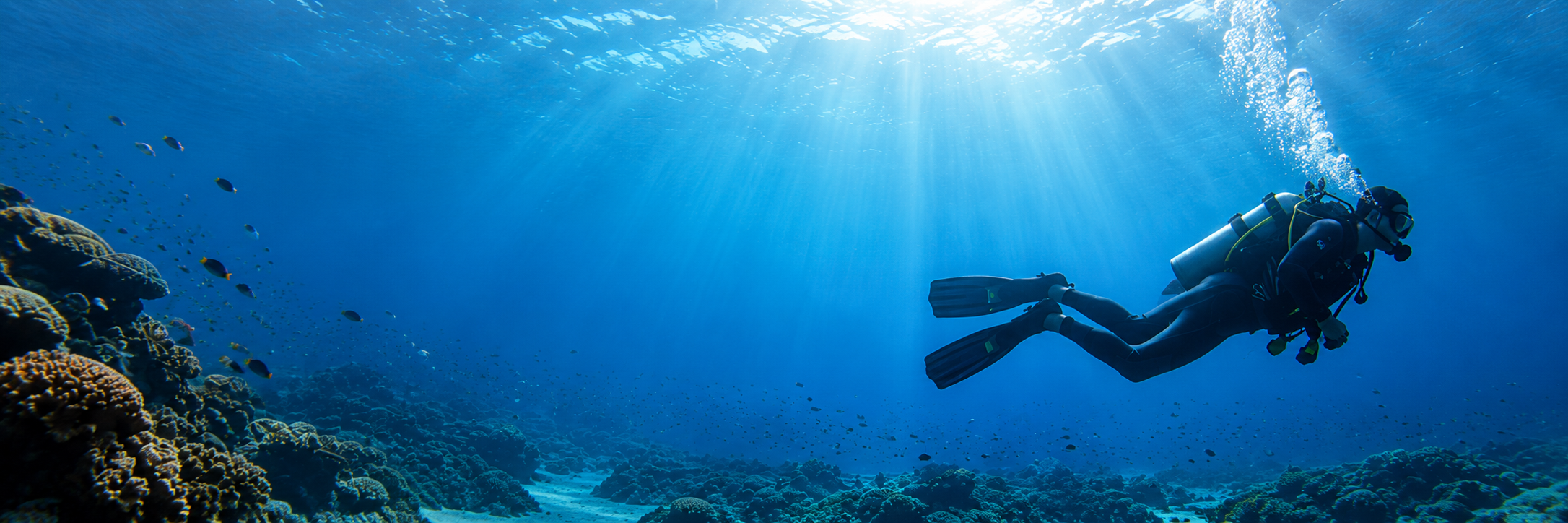 Scuba diver exploring the reef in Tulamben
